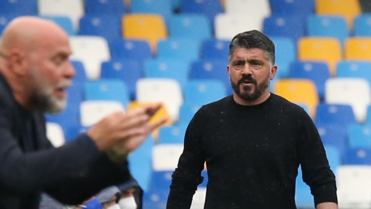 calciomercato gattuso everton