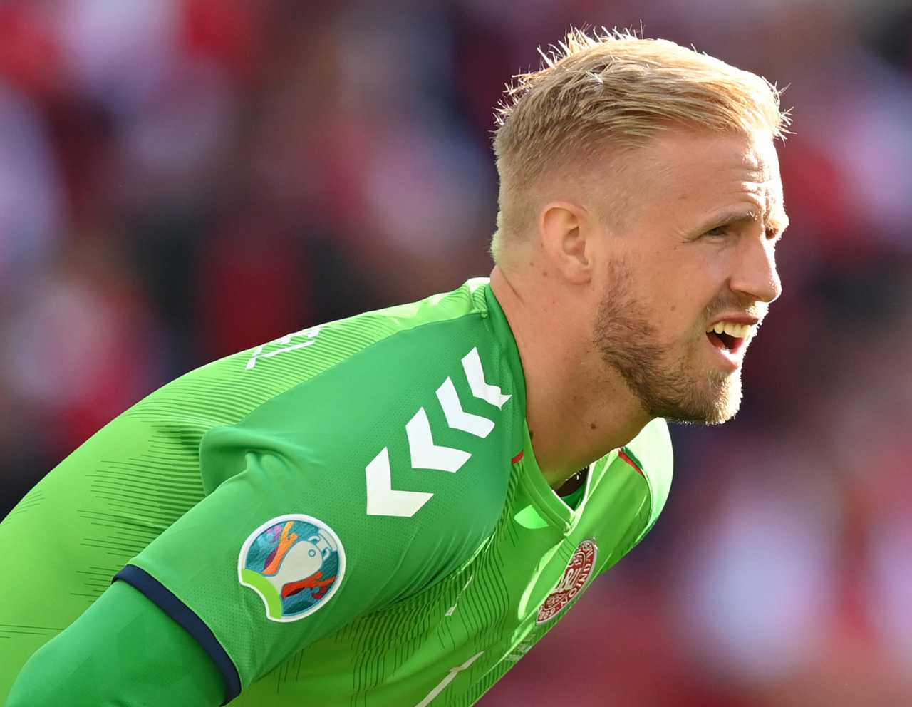 Repubblica ceca Danimarca Schmeichel