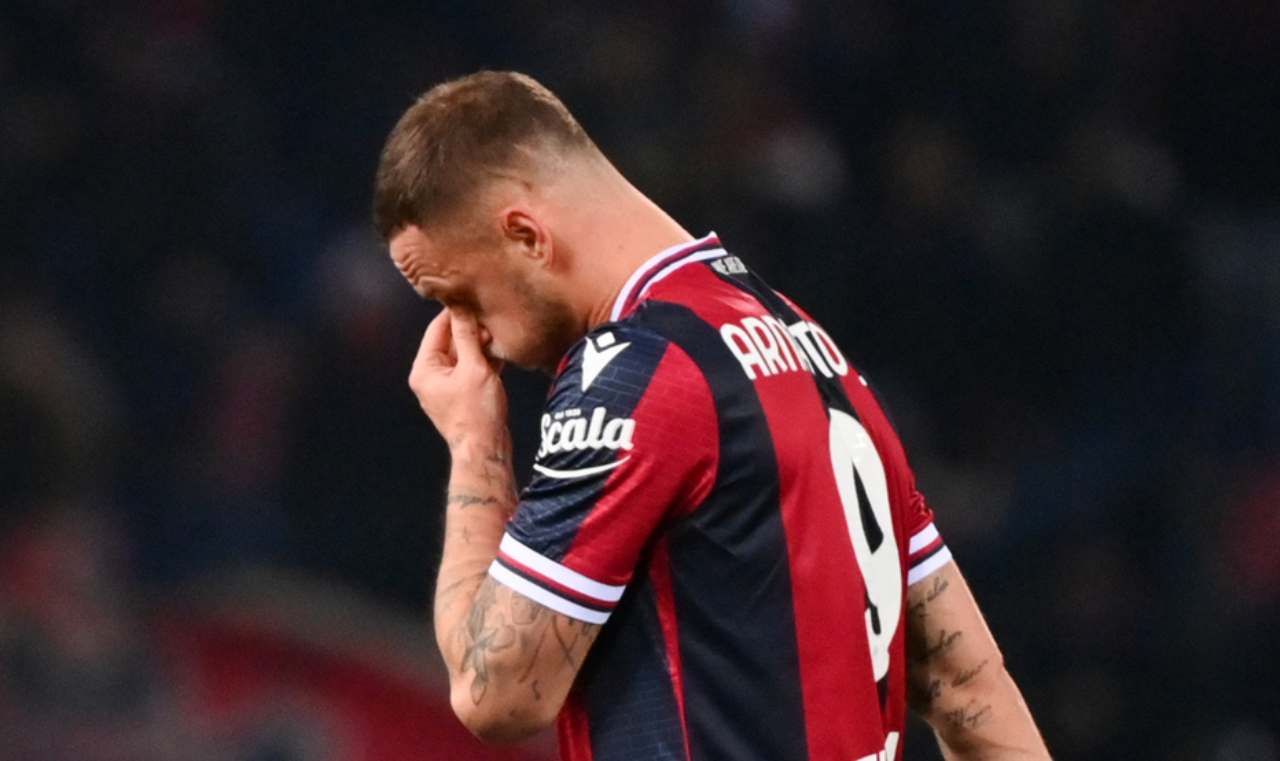 arnautovic mihajlovic