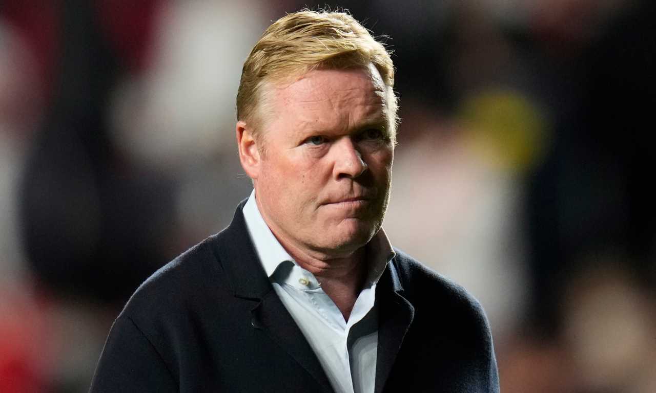 olanda koeman ct