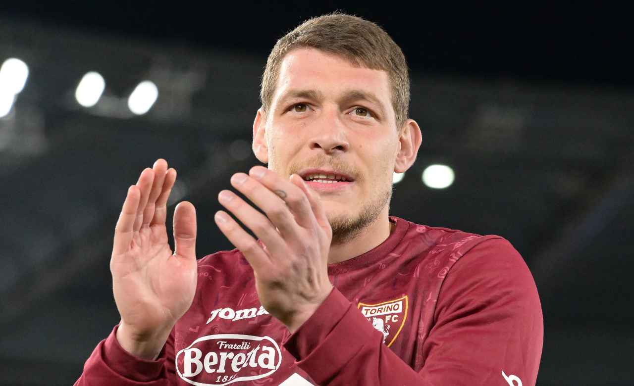 Belotti 