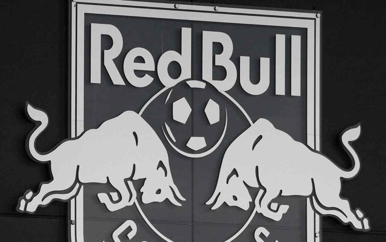 Red Bulls logo - Stopandgoal.com