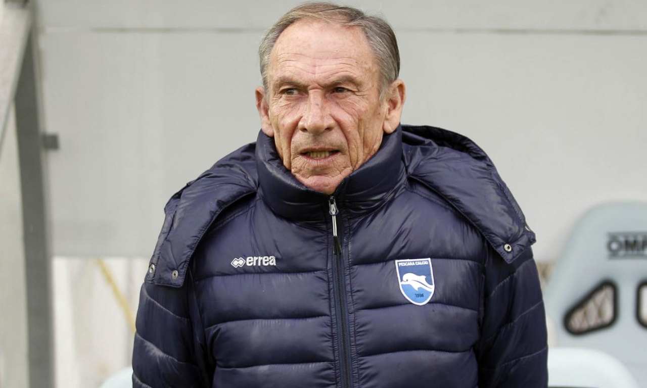 zeman foggia