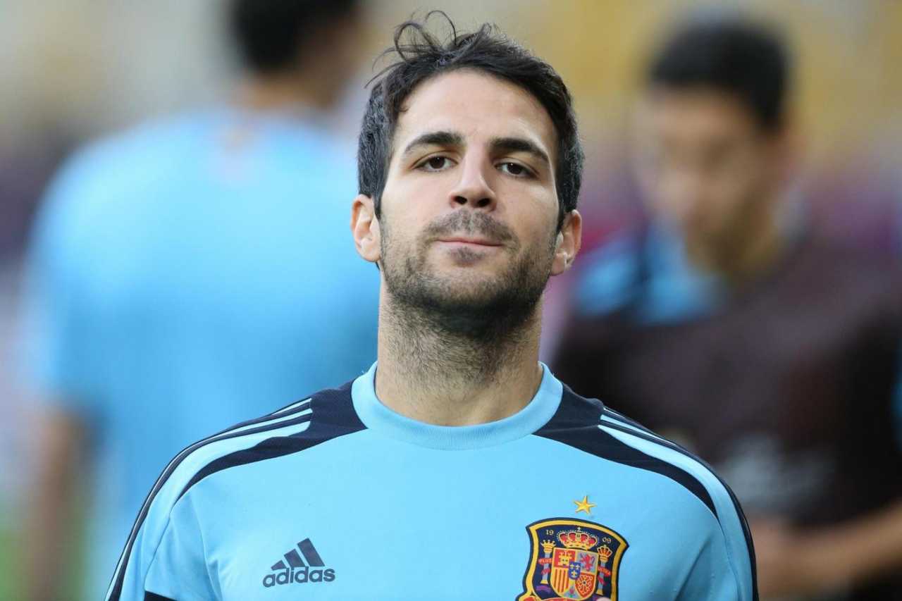 Cesc Fabregas - Stopandgoal.com