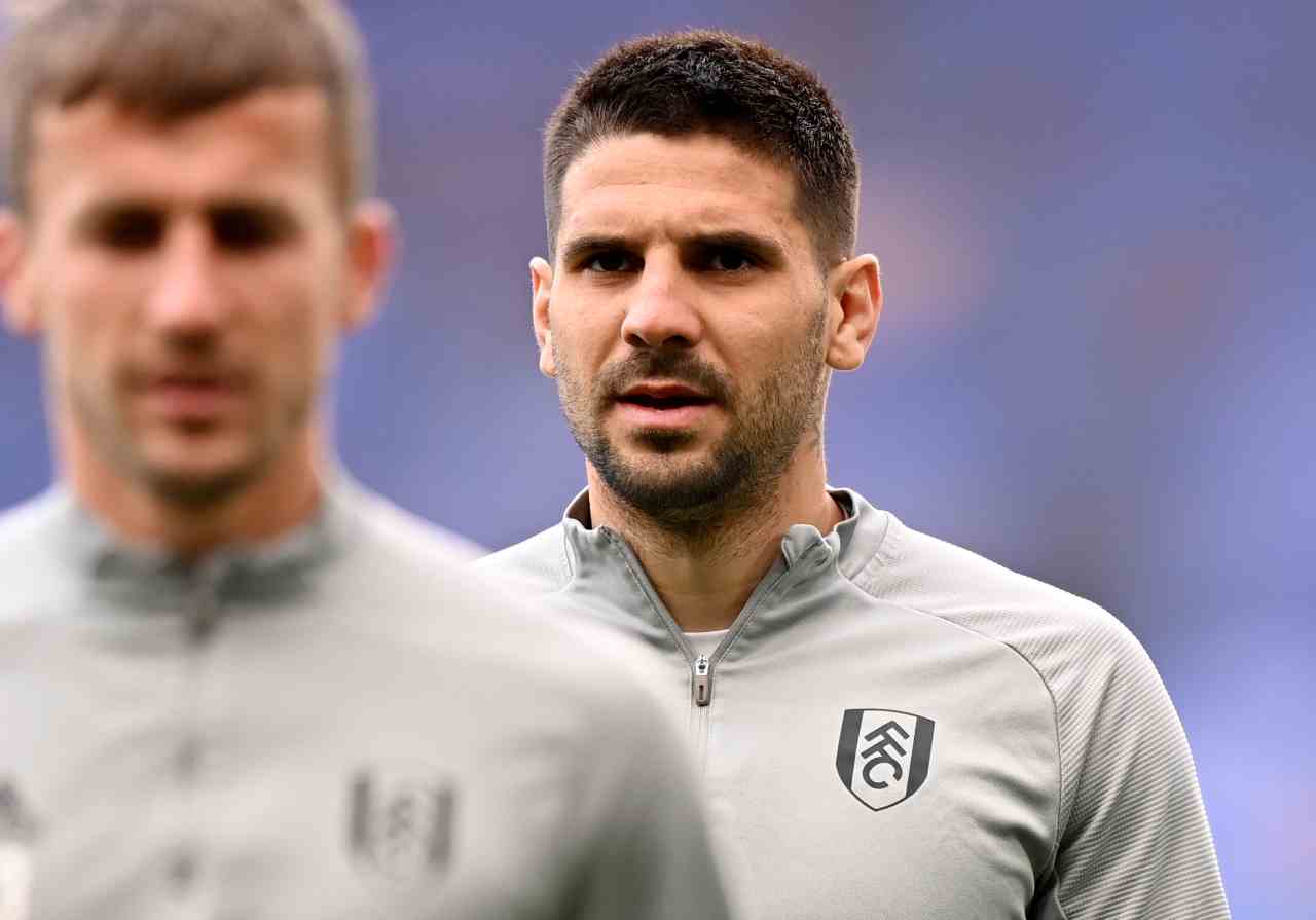 mitrovic