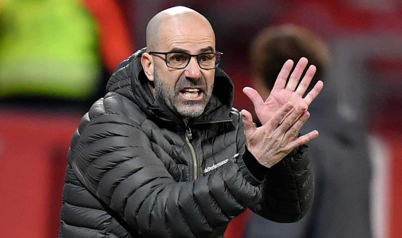 Peter Bosz, allenatore Wolverhampton - stopandgoal.com (La Presse)