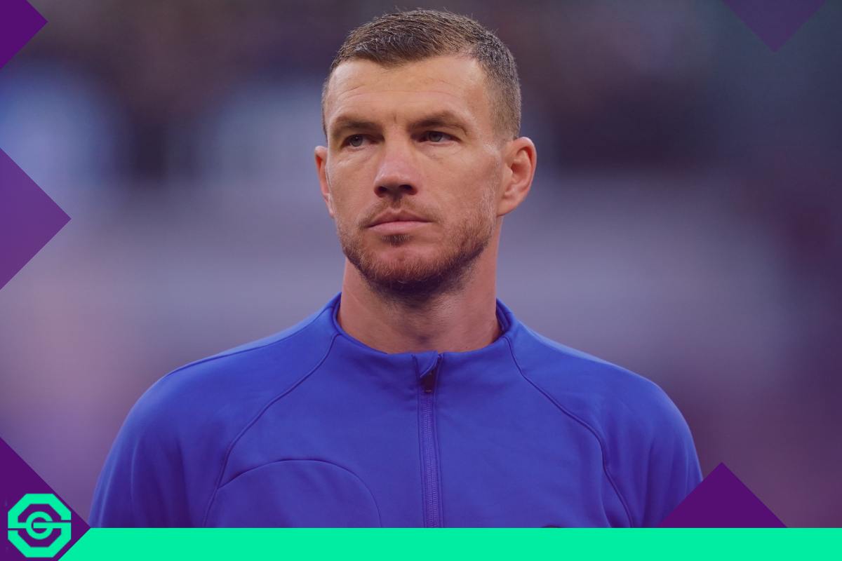 Dzeko Stopandgoal.com