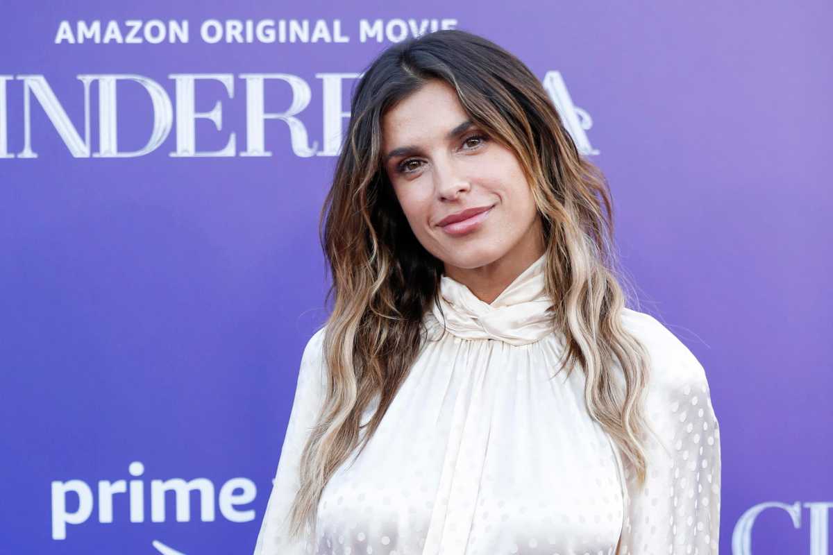 Elisabetta Canalis: la foto social è troppo piccante